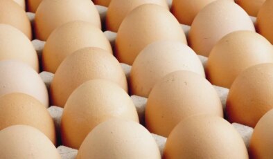 Bakanlık duyurdu: Yumurta satışında büyük değişiklik!
