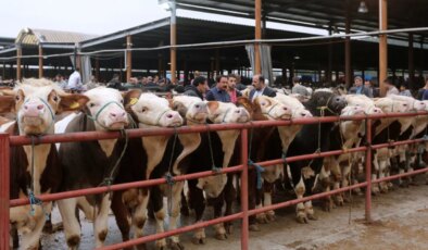 Bakanlık talimat vermişti… Hayvan pazarı geçici süreyle kapatıldı
