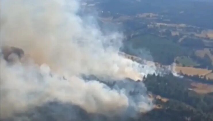 Balıkesir Dursunbey’de arazide çıkan yangın ormana sıçradı