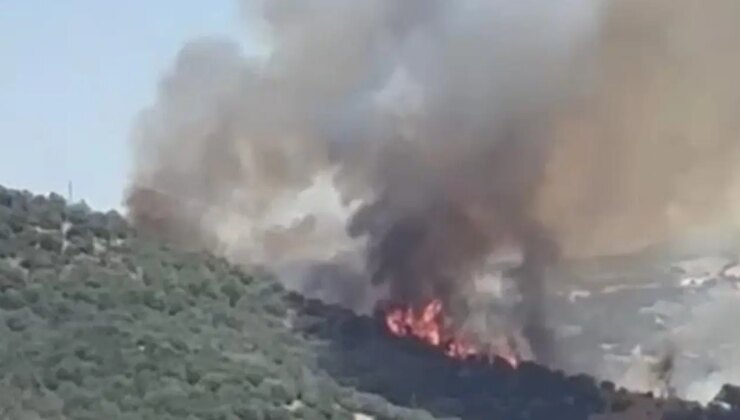 Balıkesir’de orman yangını çıktı