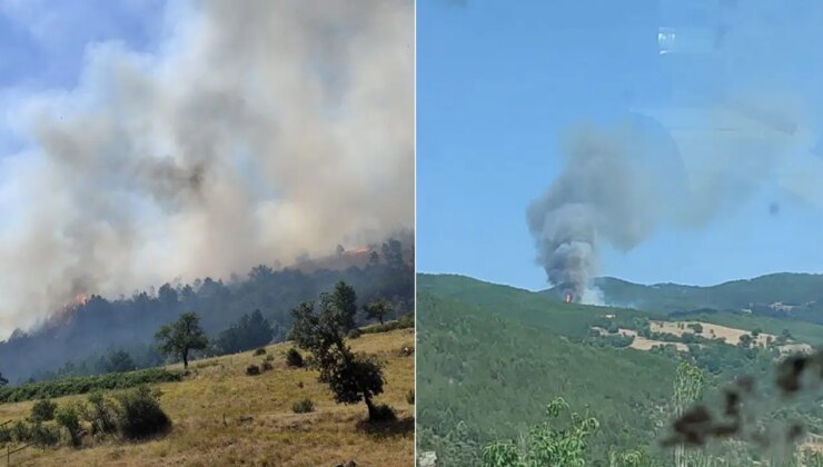 Balıkesir’de orman yangını!