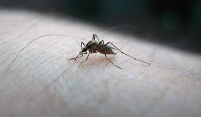 Bebekler için geliştirilen ilk sıtma ilacına İsviçre’den onay