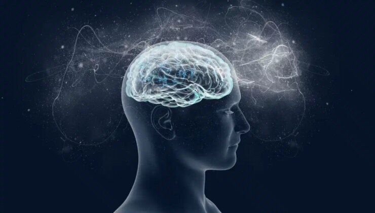 Beynimiz bir şeyin gerçek olduğunu nasıl biliyor?