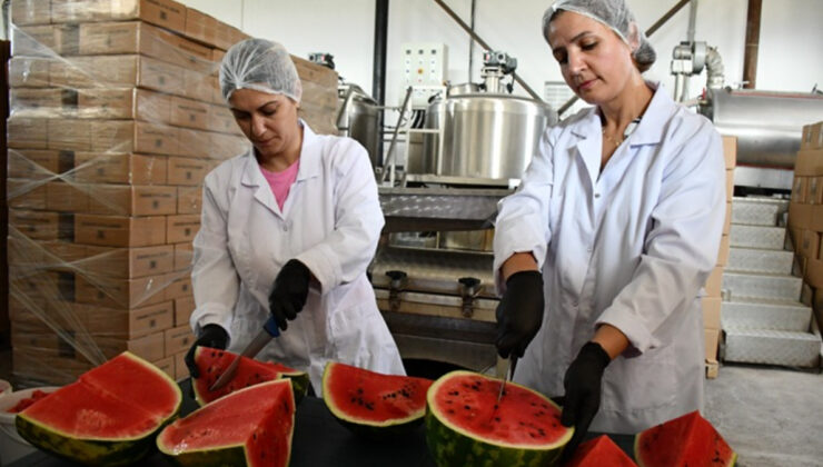 Bilecik’te karpuzdan pekmez yaptılar, değeri 25 kat arttı