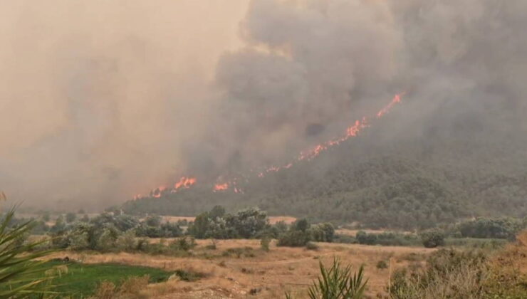 Bilecik’te orman yangını 5. gününde: Karayolu çift yönlü trafiğe kapatıldı!