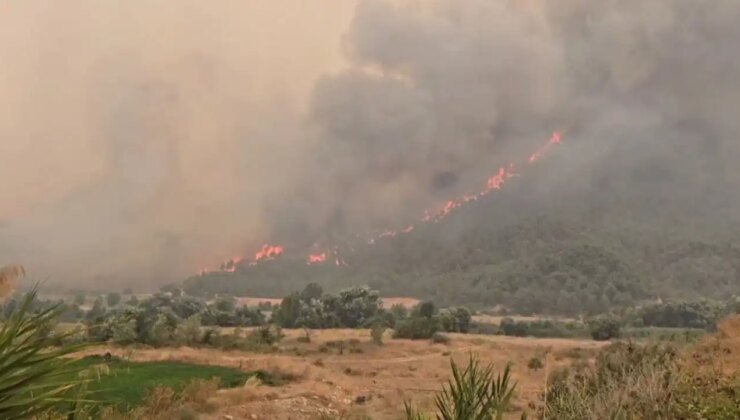 Bilecik’teki yangın 4’üncü gününde… 300 hane tahliye edildi