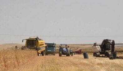 Bitlis’te rekor gelir: 20 milyar TL rekolte bekleniyor