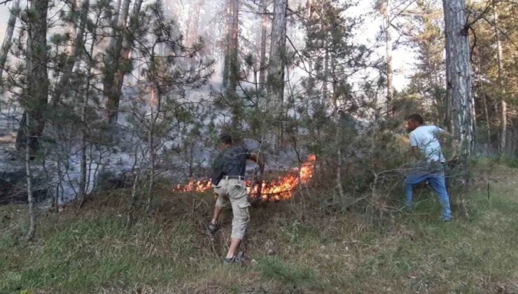 Bolu’da orman yangını!