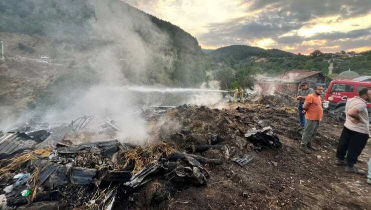 Bolu’nun Çamyurdu Köyü’nde gece yarısı yangın felaketi: Evler, samanlıklar kül oldu, iki büyükbaş hayvan öldü!