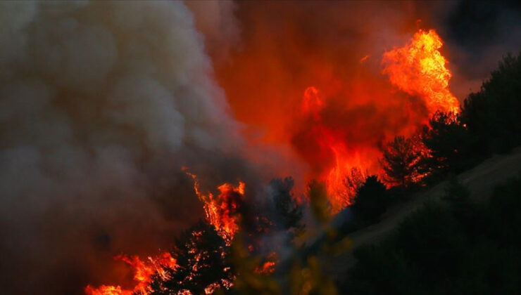Bulgaristan-Türkiye sınırında yangın