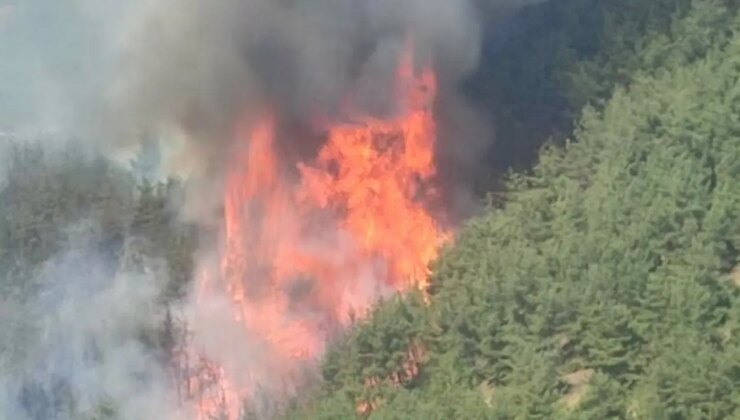 Bursa Büyükşehir Belediyesi’nden orman yangınlarına ilişkin açıklama: ‘4 ayrı noktada alevler şiddetini tekrar artırdı’