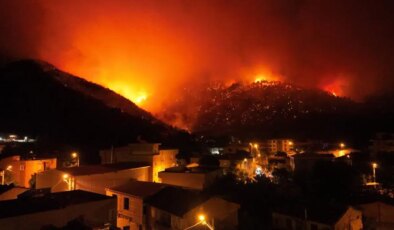 Bursa Gürsu’da yanan ormanlık alanda maden ocağı yapılması planlanıyormuş: Fırsat bu fırsat!