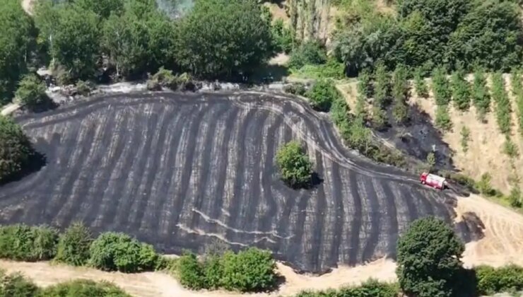 Bursa’da anız yangını… Onlarca dönüm zarar gördü!