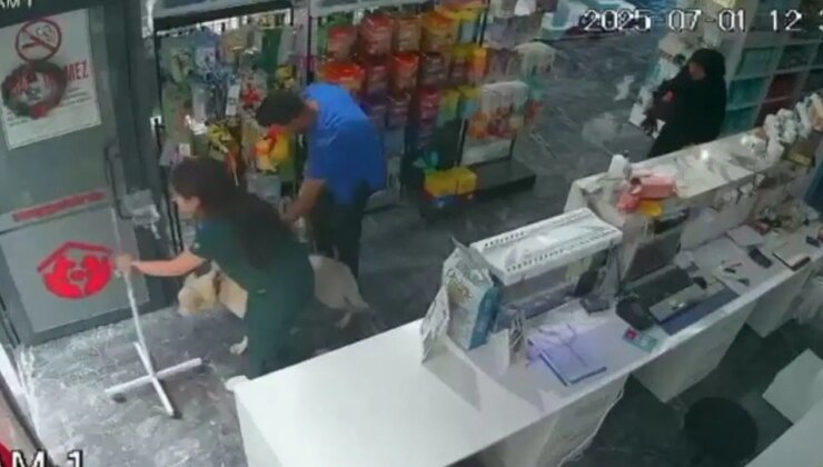 Bursa’da deprem sırasında tedavi gören köpeği içeride bırakmadı!