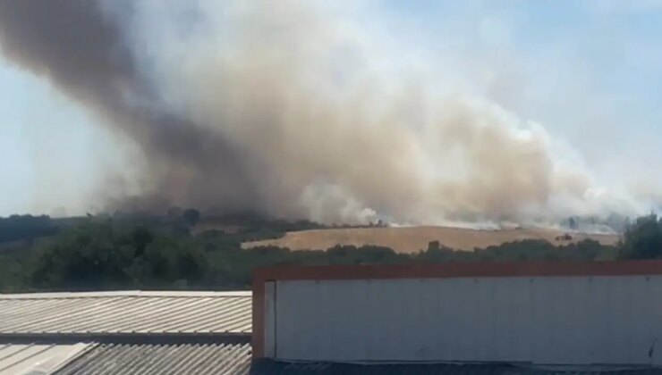 Bursa’da orman yangını!