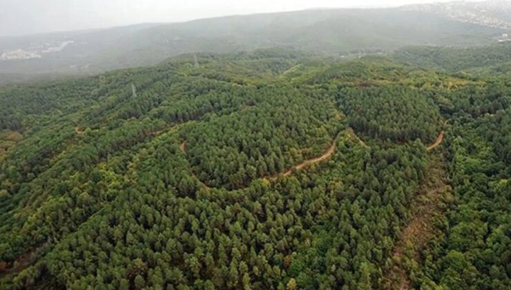 Bursa’da ormanlara girişler 8 Temmuz’dan itibaren yasaklandı