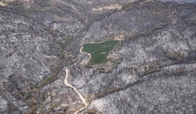 Bursa’da son durum: ’10 bin futbol sahası alanı kaybedildi’
