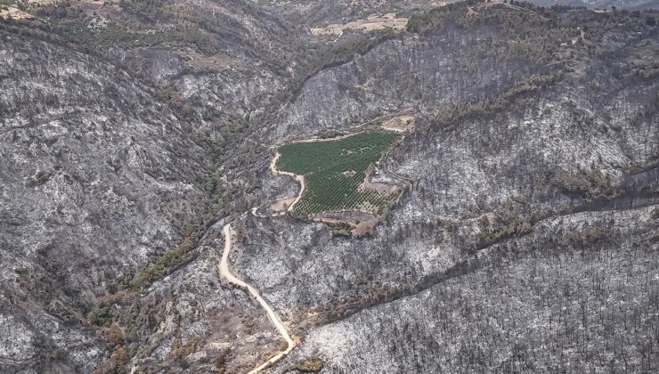 Bursa’da son durum: ’10 bin futbol sahası alanı kaybedildi’