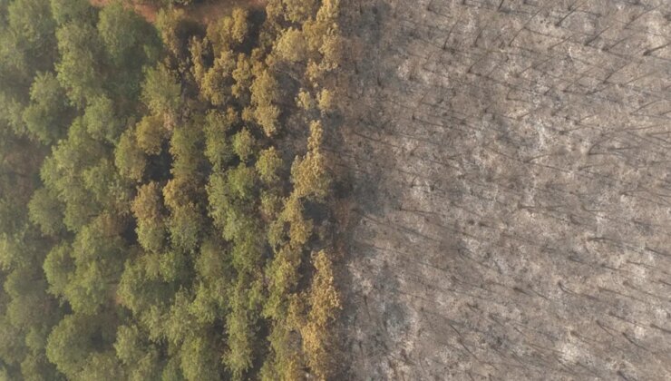 Bursa’daki orman yangını 4. gününde: Yanan alanlar havadan görüntülendi