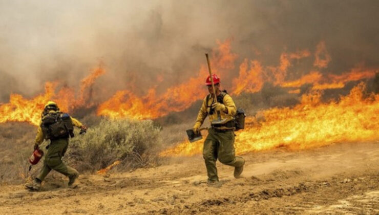 California’da orman yangınları: Binlerce hektar alan yandı