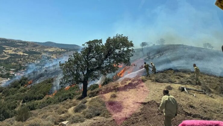 Çanakkale’de makilik alanda yangın çıktı!