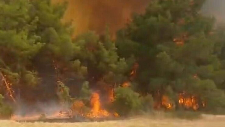 Çanakkale’de orman yangını