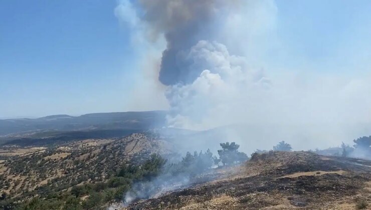 Çanakkale’de orman yangını!