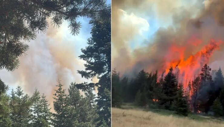 Çankırı’da orman yangını: Ekipler müdahale ediyor!