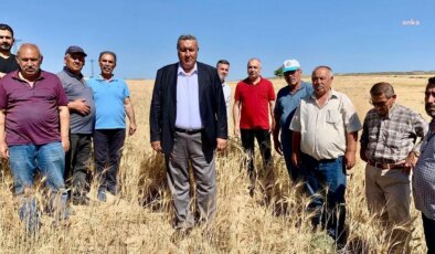 CHP harekete geçti: Tarımsal sulamada kullanılan elektrikten KDV’nin kaldırılması için kanun teklifi