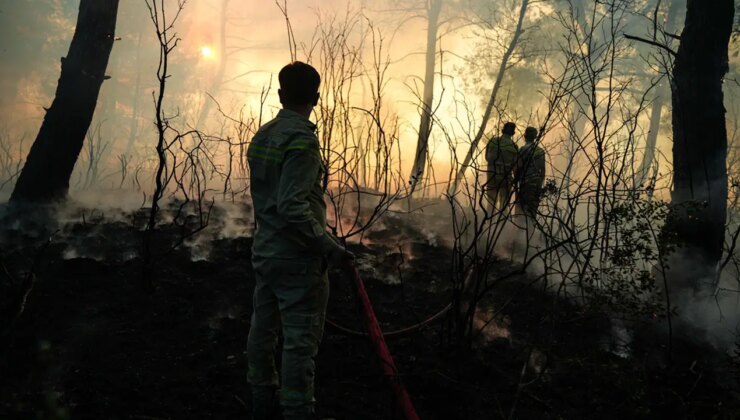 CHP İzmir Milletvekili Sevda Erdan Kılıç’tan orman yangılarına ilişkin araştırma önergesi: ‘İktidarın özelleştirme hırsı İzmir’i cehenneme çevirdi’