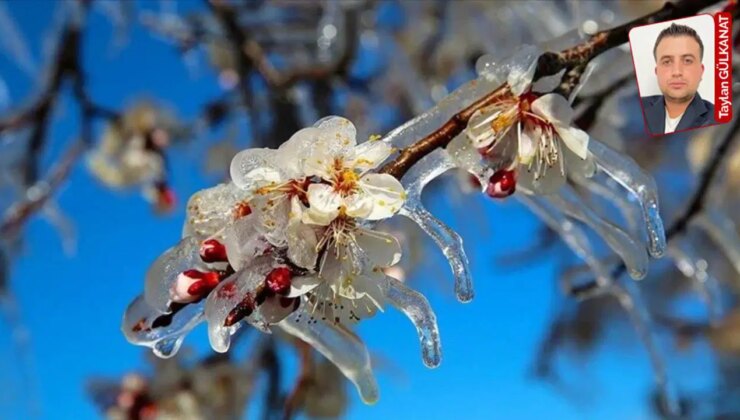 CHP’li Ömer Fethi Gürer, 65 kenti vuran zirai dona ilişkin konuştu: Özel planlama gerekli