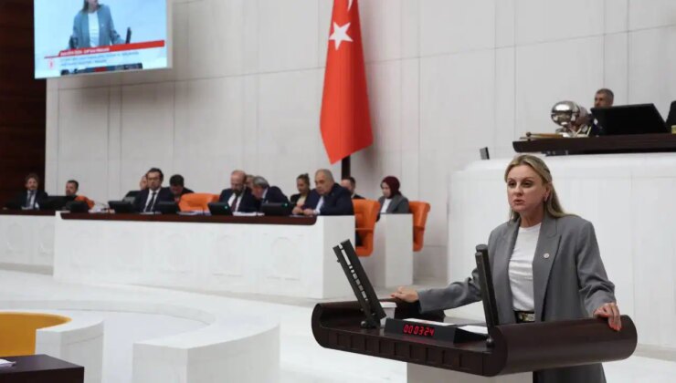 CHP’li Ösen’den vekillere maden yasası tepkisi: ‘Çıkarılan kömürün mü yoksa milletin mi vekili olacaksınız?’