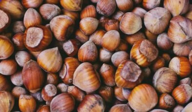 CHP’li vekiller açıkladı: Fındık devine yargı freni