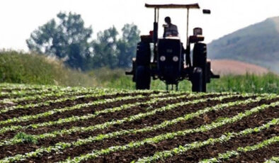 Çiftçilere 345 milyon lira tarımsal destekleme ödemesi