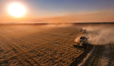 Çiftçilere yaklaşık 827 milyon lira tarımsal destekleme ödemesi yapılacak