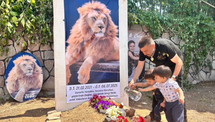 Çiftçiyi yaraladıktan sonra öldürüldü… ‘Aslan Zeus’ için temsili mezar yaptırdı