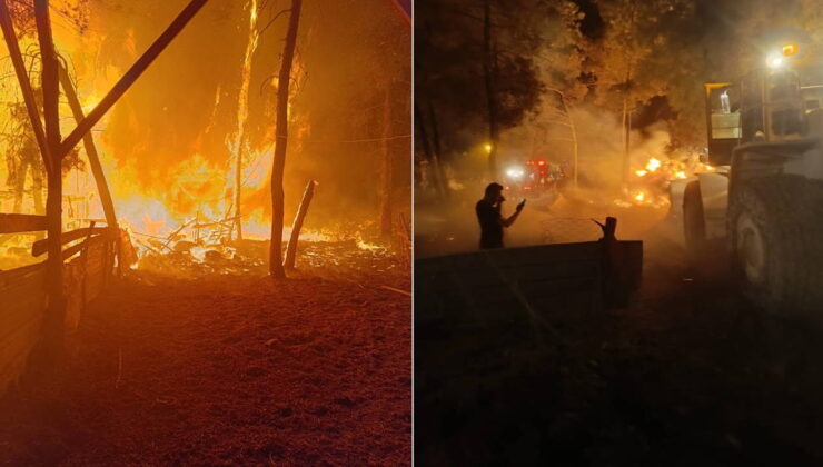 Çiftliğinde çıkan yangında 95 hayvanı öldü