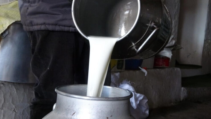 Çiğ süt fiyatı 2025: 1 litre çiğ süt ne kadar, kaç TL?