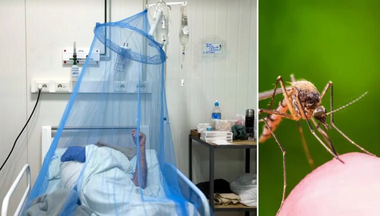 Çin’de virüs paniği: 4 bini aşkın kişiye bulaştı!