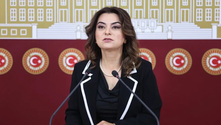 DEM Parti: Her şeyi özelleştiren iktidar orman yangınların en büyük sorumlusudur