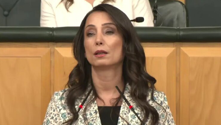 DEM Partili Tülay Hatimoğulları’ndan ‘operasyon ‘ tepkisi: ‘Bu furya çok acil bir şekilde son bulmalı’