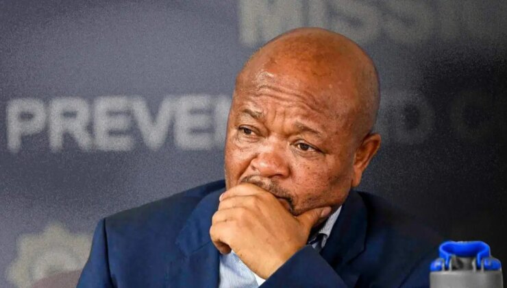 ‘Devlet içinde çete’ iddiası: Güney Afrikalı bakan görevden uzaklaştırıldı