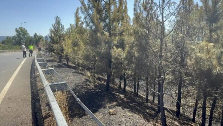 Düğün konvoyundan atılan meşale yangın çıkardı