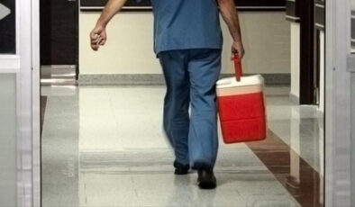 e-Devlet ve e-Nabız üzerinden organ bağışçısı olunabilecek