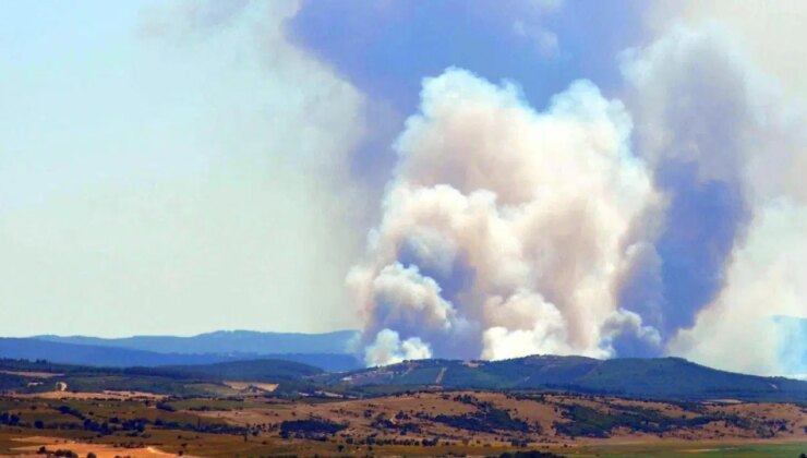 Edirne’de orman yangını: Rüzgar alevleri ormana taşıdı