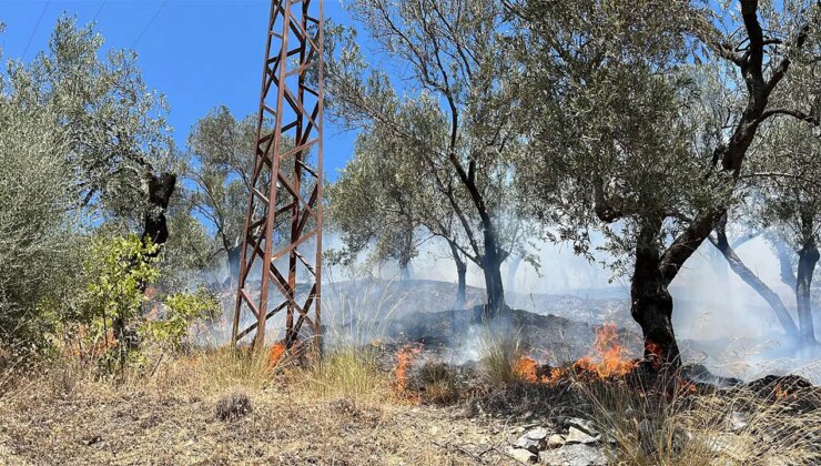 Edremit Güre’de yangın paniği: 2 uçak ve 10 araçla müdahale edildi