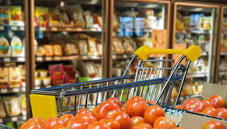 Ekonomik güven endeksi temmuzda 96,3 oldu