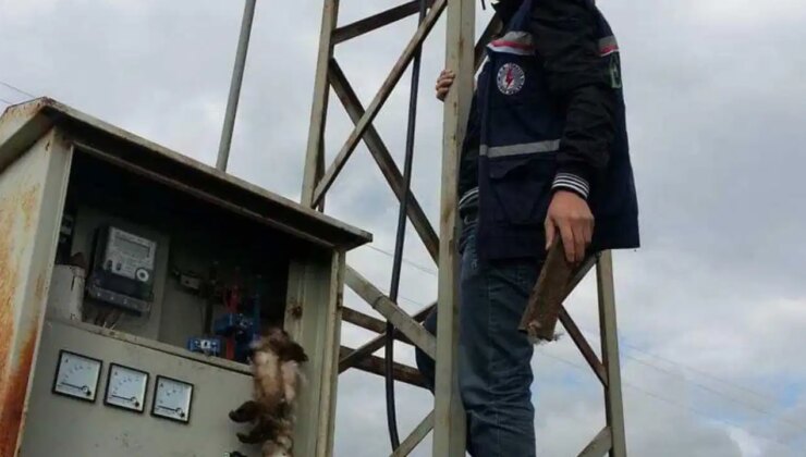 Elektrik dağıtım firması çalışanı akıma kapılarak can verdi!
