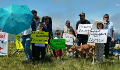 Erikli Yaylası’nda altın madeni arama çalışmalarının yeniden başlatılmasına tepki: Yasa onlardan yana olabilir ama hukuk bizden yana