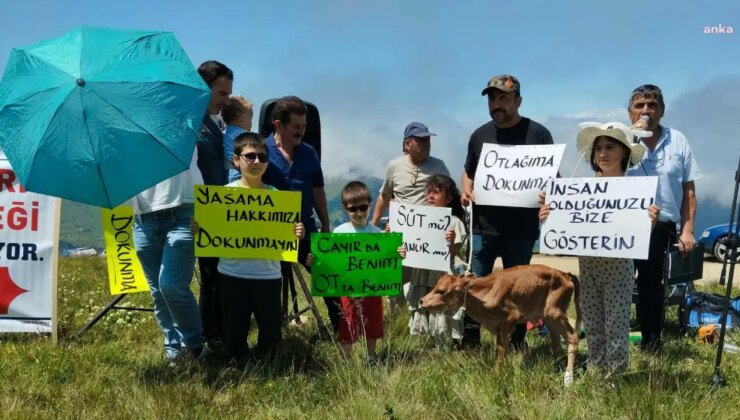 Erikli Yaylası’nda altın madeni arama çalışmalarının yeniden başlatılmasına tepki: Yasa onlardan yana olabilir ama hukuk bizden yana